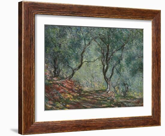 Bois D'Oliviers Au Jardin Moreno, 1884-Claude Monet-Framed Giclee Print