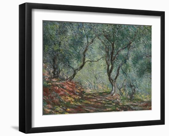 Bois D'Oliviers Au Jardin Moreno, 1884-Claude Monet-Framed Giclee Print