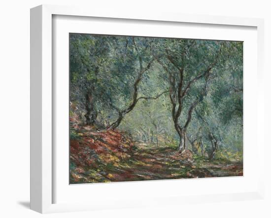 Bois D'Oliviers Au Jardin Moreno, 1884-Claude Monet-Framed Giclee Print