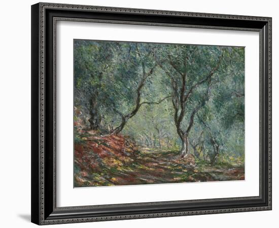 Bois D'Oliviers Au Jardin Moreno, 1884-Claude Monet-Framed Giclee Print