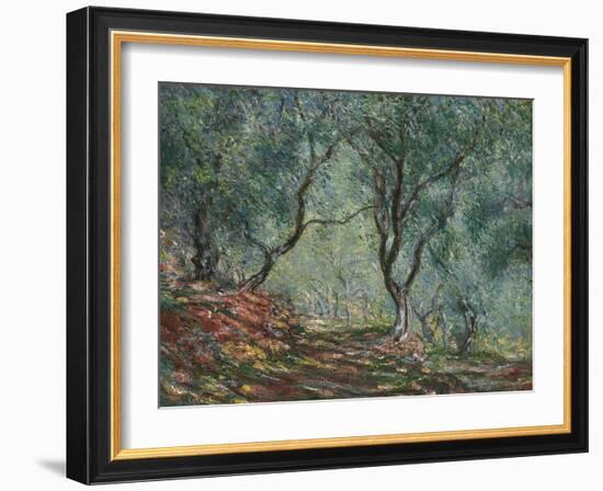 Bois D'Oliviers Au Jardin Moreno, 1884-Claude Monet-Framed Giclee Print