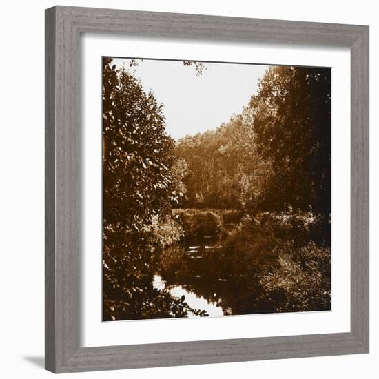 Bois-null-Framed Giclee Print