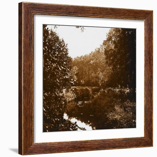 Bois-null-Framed Giclee Print