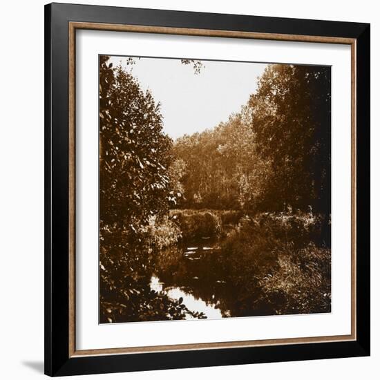 Bois-null-Framed Giclee Print
