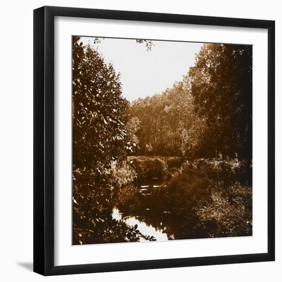 Bois-null-Framed Giclee Print