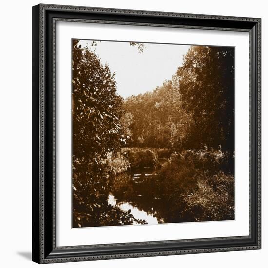 Bois-null-Framed Giclee Print