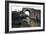 Bojano Gate, Ancient Roman City of Saepinum, Sepino, Molise, Italy-null-Framed Giclee Print