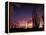 Bojum Tree and Cardon Cactus, Catavina Desert National Reserve, Baja del Norte, Mexico-Gavriel Jecan-Framed Premier Image Canvas