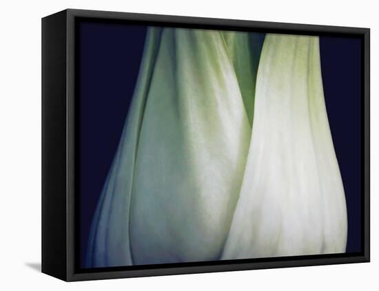 Bok Choy I-Jim Christensen-Framed Premier Image Canvas