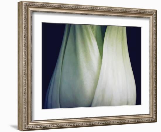 Bok Choy I-Jim Christensen-Framed Photographic Print