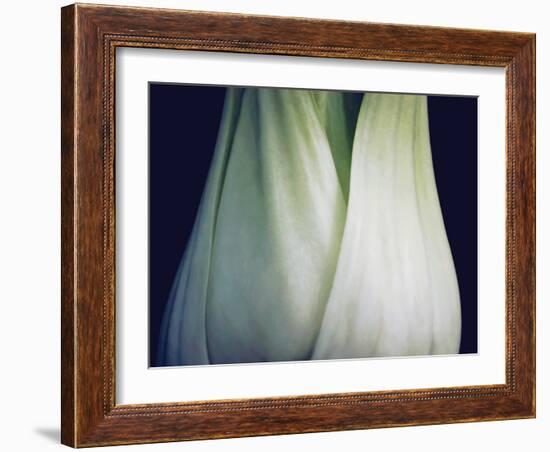 Bok Choy I-Jim Christensen-Framed Photographic Print