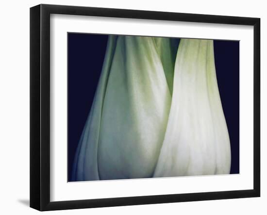 Bok Choy I-Jim Christensen-Framed Photographic Print