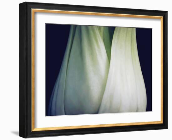 Bok Choy I-Jim Christensen-Framed Photographic Print