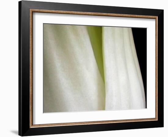 Bok Choy II-Jim Christensen-Framed Photographic Print