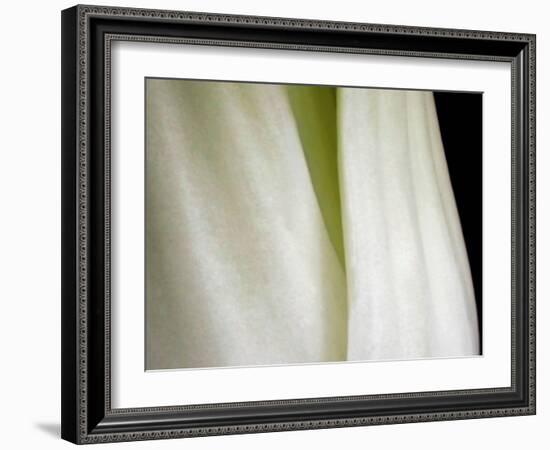 Bok Choy II-Jim Christensen-Framed Photographic Print