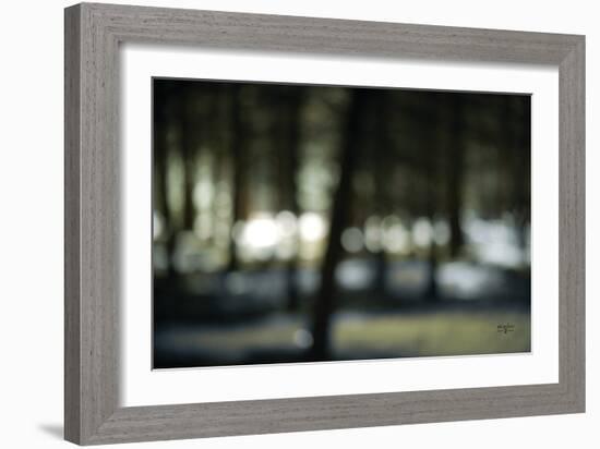 Bokeh Dream-Studio 2-Framed Art Print