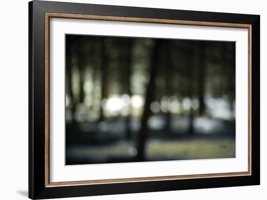 Bokeh Dream-Studio 2-Framed Art Print