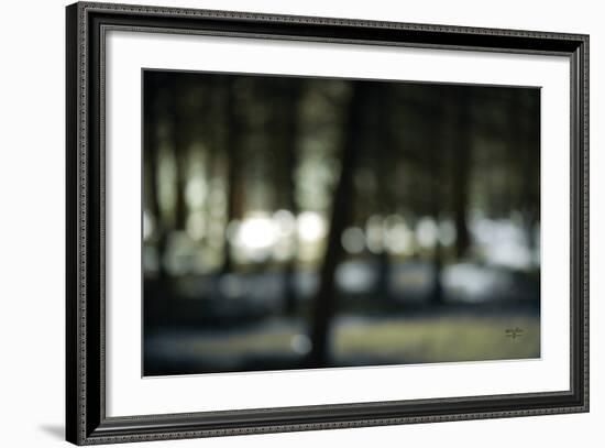 Bokeh Dream-Studio 2-Framed Art Print