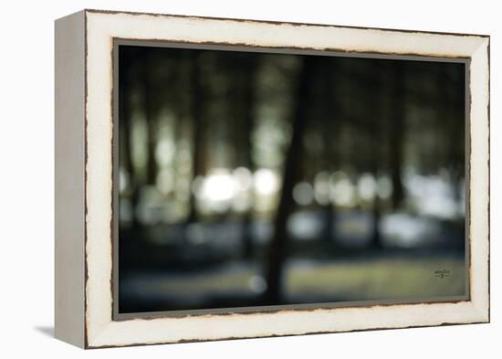 Bokeh Dream-Studio 2-Framed Stretched Canvas