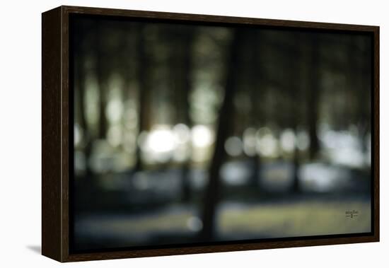 Bokeh Dream-Studio 2-Framed Stretched Canvas