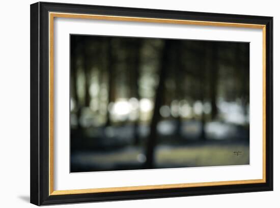 Bokeh Dream-Studio 2-Framed Premium Giclee Print