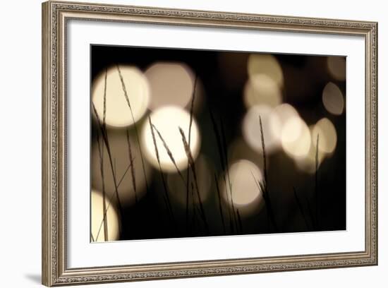 Bokeh Grass I-Erin Berzel-Framed Photographic Print