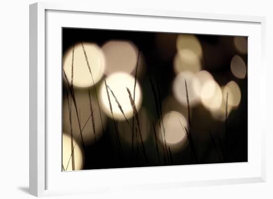 Bokeh Grass I-Erin Berzel-Framed Photographic Print