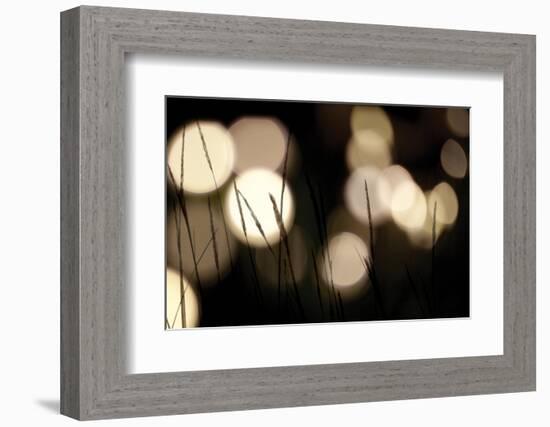 Bokeh Grass I-Erin Berzel-Framed Photographic Print