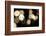 Bokeh Grass I-Erin Berzel-Framed Photographic Print