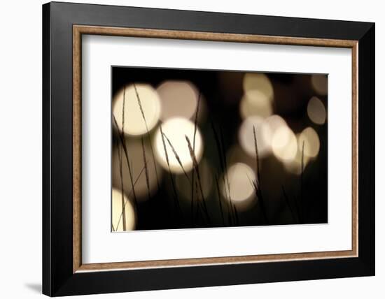 Bokeh Grass I-Erin Berzel-Framed Photographic Print