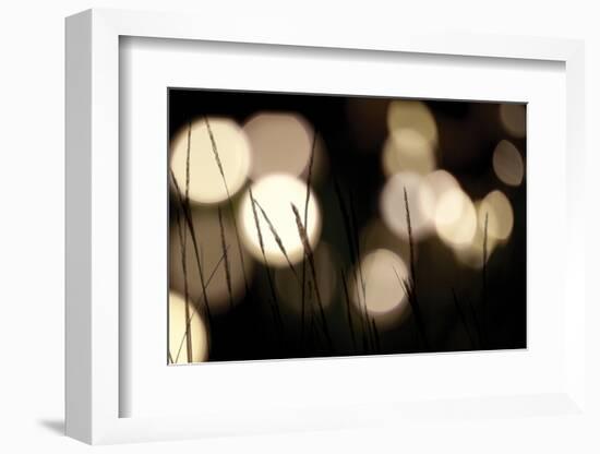 Bokeh Grass I-Erin Berzel-Framed Photographic Print