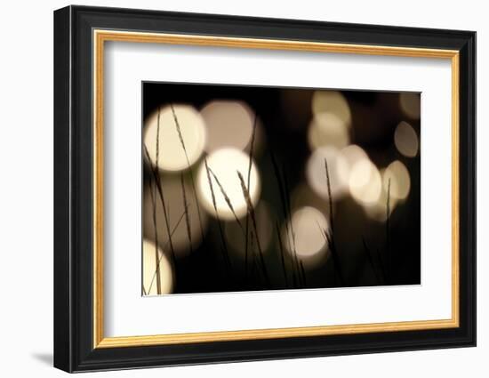 Bokeh Grass I-Erin Berzel-Framed Photographic Print