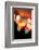 Bokeh IV-Leesa White-Framed Photographic Print