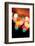 Bokeh IV-Leesa White-Framed Photographic Print