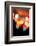 Bokeh IV-Leesa White-Framed Photographic Print