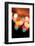 Bokeh IV-Leesa White-Framed Photographic Print