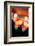 Bokeh IV-Leesa White-Framed Photographic Print