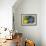 Bold and Wild-Staffan Widstrand-Framed Giclee Print displayed on a wall