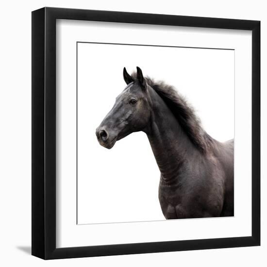 Bold Equine - Poise-Laura Warren-Framed Giclee Print