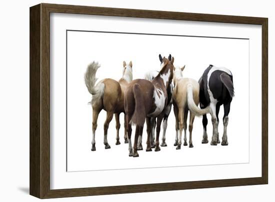 Bold Equine - Team-Laura Warren-Framed Giclee Print