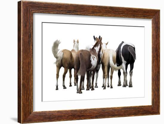 Bold Equine - Team-Laura Warren-Framed Giclee Print