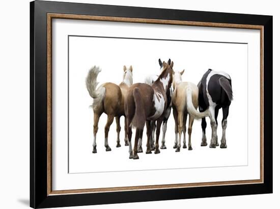 Bold Equine - Team-Laura Warren-Framed Giclee Print