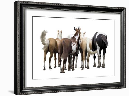 Bold Equine - Team-Laura Warren-Framed Giclee Print