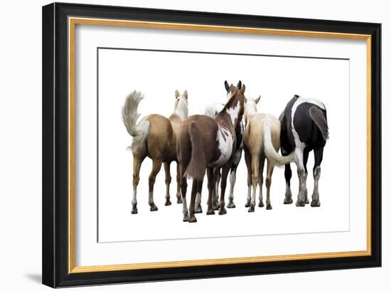 Bold Equine - Team-Laura Warren-Framed Giclee Print