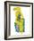 Bold Figure - Cat-Gerry Baptist-Framed Giclee Print