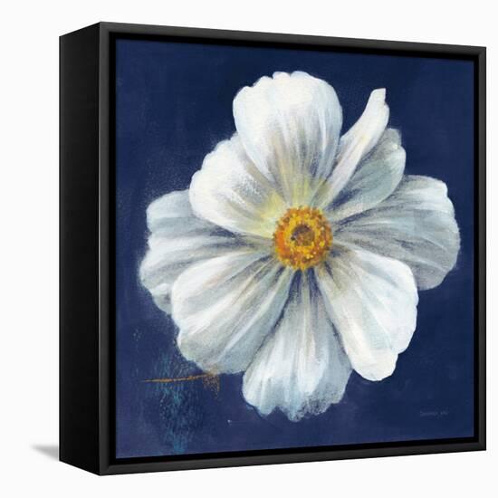 Boldest Bloom I Dark Blue-Danhui Nai-Framed Stretched Canvas