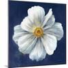 Boldest Bloom I Dark Blue-Danhui Nai-Mounted Art Print