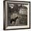 Bolesworth Horse-Pete Kelly-Framed Giclee Print