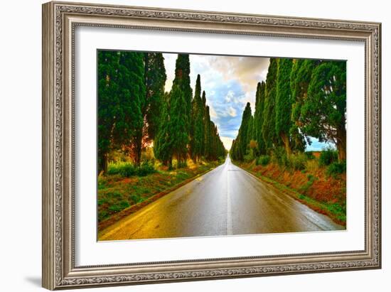 Bolgheri Famous Cypresses Tree Straight Boulevard on Sunset. Maremma, Tuscany, Italy-stevanzz-Framed Photographic Print