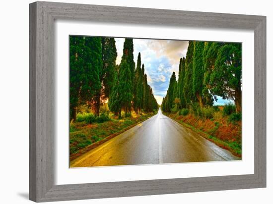 Bolgheri Famous Cypresses Tree Straight Boulevard on Sunset. Maremma, Tuscany, Italy-stevanzz-Framed Photographic Print